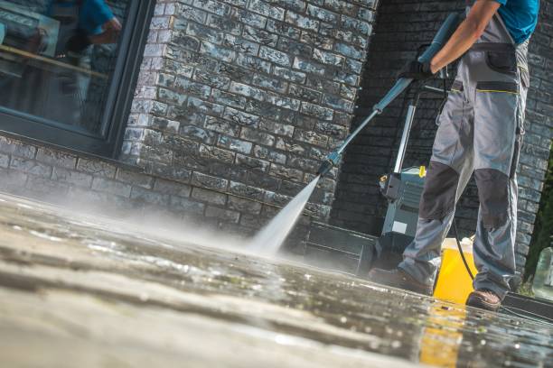 Animal Enclosure Cleaning in New Vienna, OH